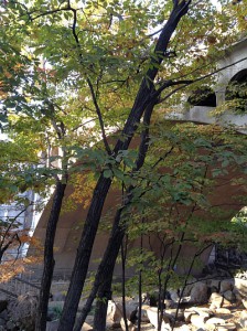 王子音無親水公園