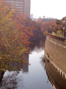 王子石神井川